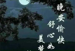 不再是朋友的夜晚动漫,揭秘“不再是朋友”的动漫之夜